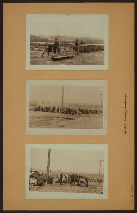 Art Print - Workmen - Staten Island - [Richmond - Tompkinsville - Sisal hemp salvaging - Bales of cotton salvage.]