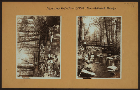Art Print - Clove Lake Valley Brook - Brooks Bridge - Staten Island [Richmond - Late autumn scene.]